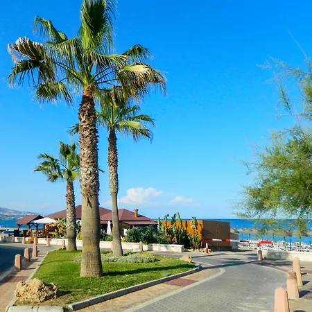 فيلة The White House